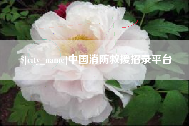 南县中国消防救援招录平台
