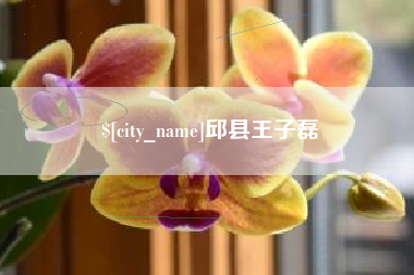 南县邱县王子磊