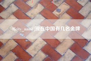南县现在中国有几名金牌