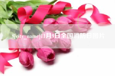 南县11月9日全国消防日图片