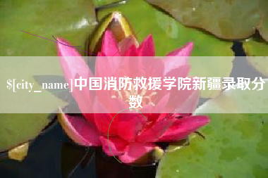 南县中国消防救援学院新疆录取分数