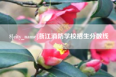 南县浙江消防学校招生分数线