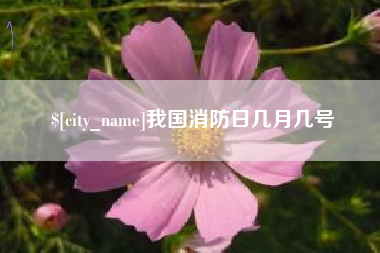 南县我国消防日几月几号
