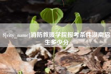 南县消防救援学院报考条件湖南招生多少分