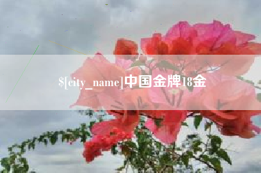 南县中国金牌18金