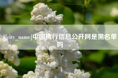 南县中国执行信息公开网是黑名单吗