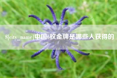南县中国6枚金牌是哪些人获得的