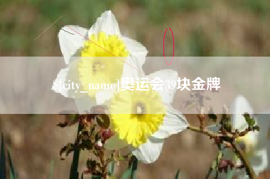南县奥运会39块金牌