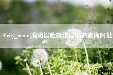南县消防设施操作员证书查询网址