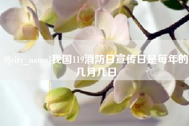 南县我国119消防日宣传日是每年的几月几日