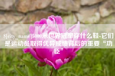 南县5000米世界冠军穿什么鞋-它们是运动员取得优异成绩背后的重要“功臣”