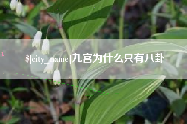 南县九宫为什么只有八卦