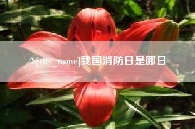南县我国消防日是哪日