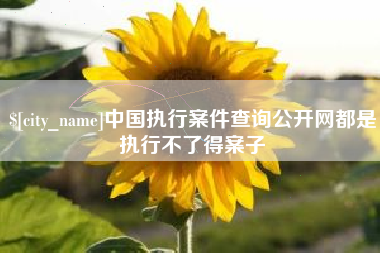 南县中国执行案件查询公开网都是执行不了得案子