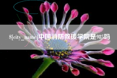 南县中国消防救援学院是985吗