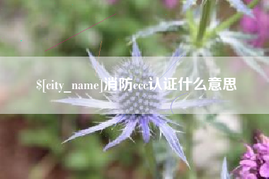 南县消防ccc认证什么意思