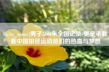 南县男子5000米全国记录-更是承载着中国田径运动员们的热血与梦想