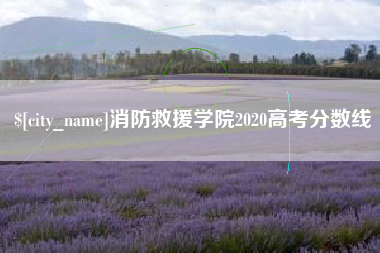 南县消防救援学院2020高考分数线