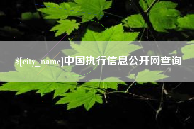 南县中国执行信息公开网查询
