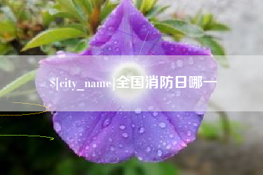 南县全国消防日哪一