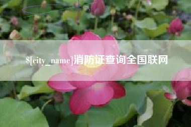 南县消防证查询全国联网