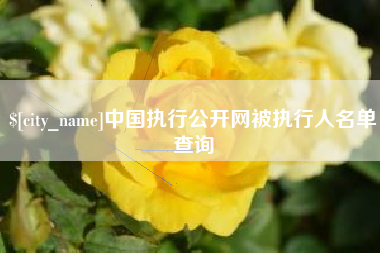 南县中国执行公开网被执行人名单查询
