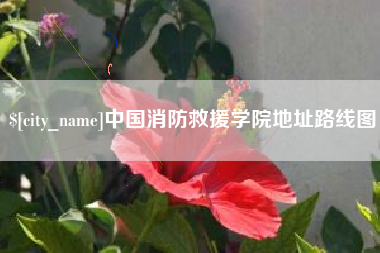 南县中国消防救援学院地址路线图