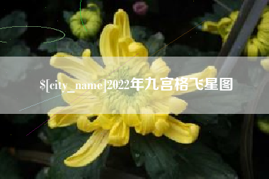 南县2022年九宫格飞星图