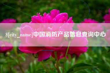南县中国消防产品信息查询中心