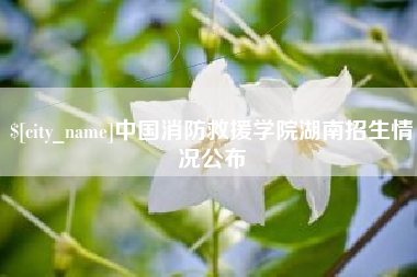 南县中国消防救援学院湖南招生情况公布