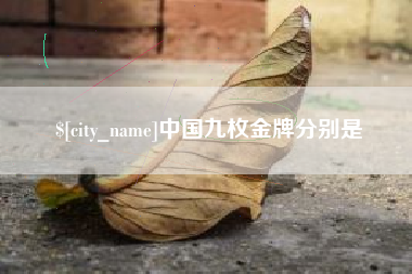 南县中国九枚金牌分别是