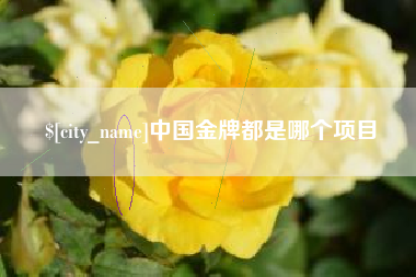 南县中国金牌都是哪个项目