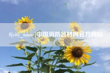南县中国消防器材网官方网站