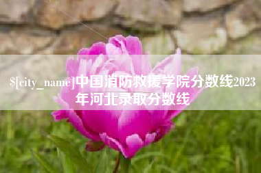南县中国消防救援学院分数线2023年河北录取分数线