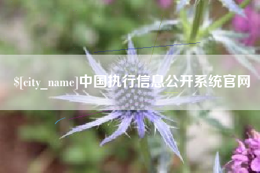 南县中国执行信息公开系统官网