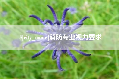 南县消防专业视力要求