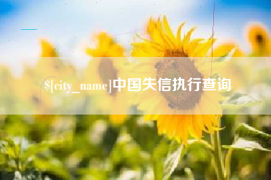 南县中国失信执行查询