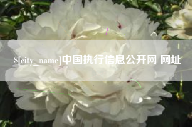 南县中国执行信息公开网 网址