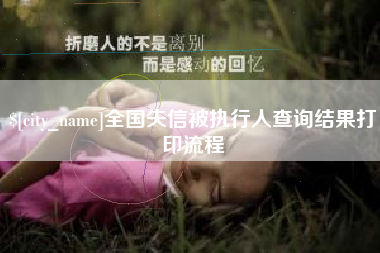 南县全国失信被执行人查询结果打印流程