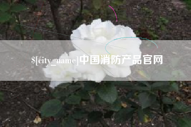 南县中国消防产品官网