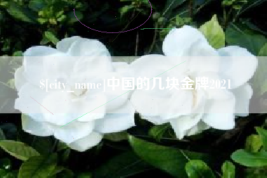 南县中国的几块金牌2021
