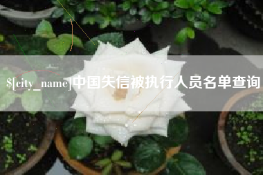 南县中国失信被执行人员名单查询