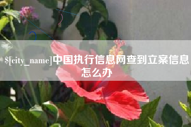南县中国执行信息网查到立案信息怎么办