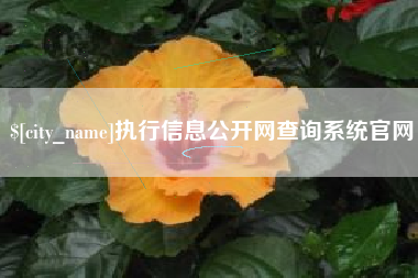 南县执行信息公开网查询系统官网