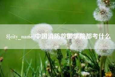南县中国消防救援学院都考什么