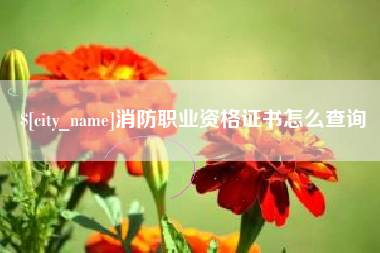南县消防职业资格证书怎么查询