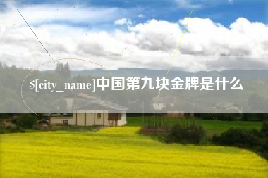 南县中国第九块金牌是什么