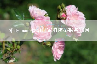 南县2021国家消防员报名官网