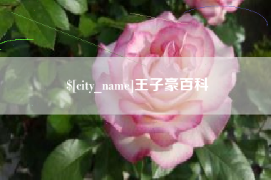 南县王子豪百科
