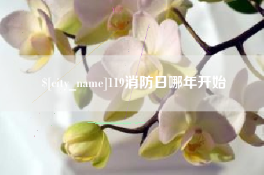 南县119消防日哪年开始